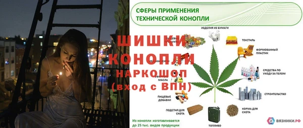 крисы Абдулино