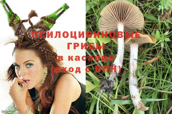 крисы Абдулино