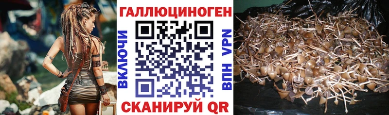 Псилоцибиновые грибы MAGIC MUSHROOMS  цены   darknet как зайти  Прокопьевск  ОМГ ОМГ ссылки 
