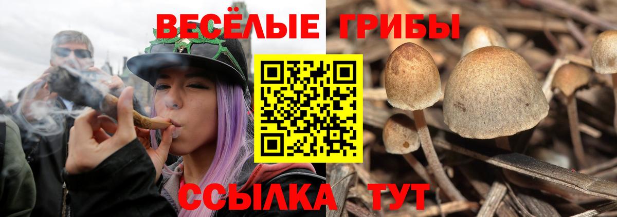 закладка  Галлюциногенные грибы Psilocybine cubensis  Вход с VPN  Галлюциногенные грибы прущие грибы  Прокопьевск 