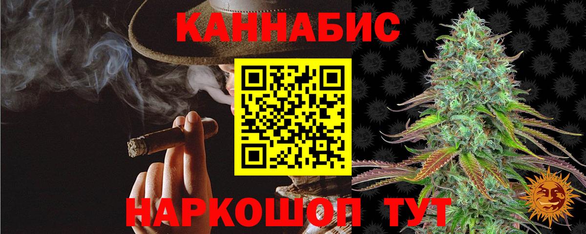Бошки Шишки план Прокопьевск